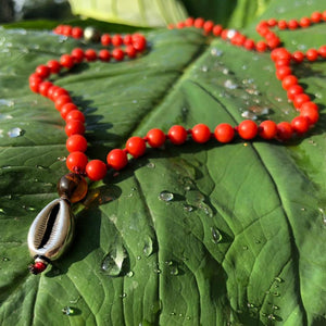 gem of the sea ~ red coral