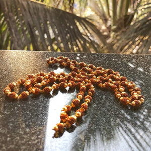 Rudraksha in Gold